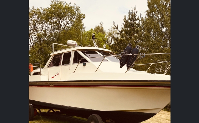 Sterna Muu malli-kuva-6